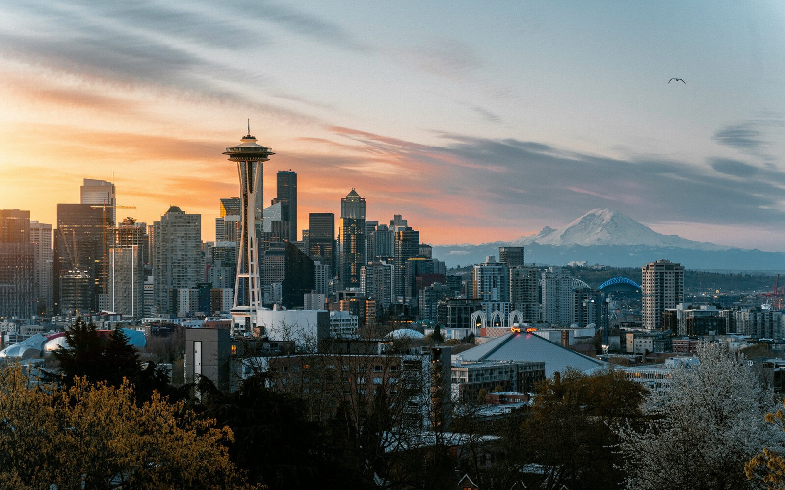CloudMasonry - Washington Based Salesforce Consulting - Seattle Office Landing Page Image - Seattle skyline at sunset with mountain backdrop.